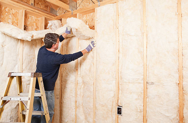 Best Eco-Friendly Insulation Solutions  in Lodi, WI